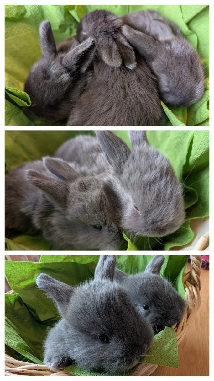 Mit 3 Wochen!