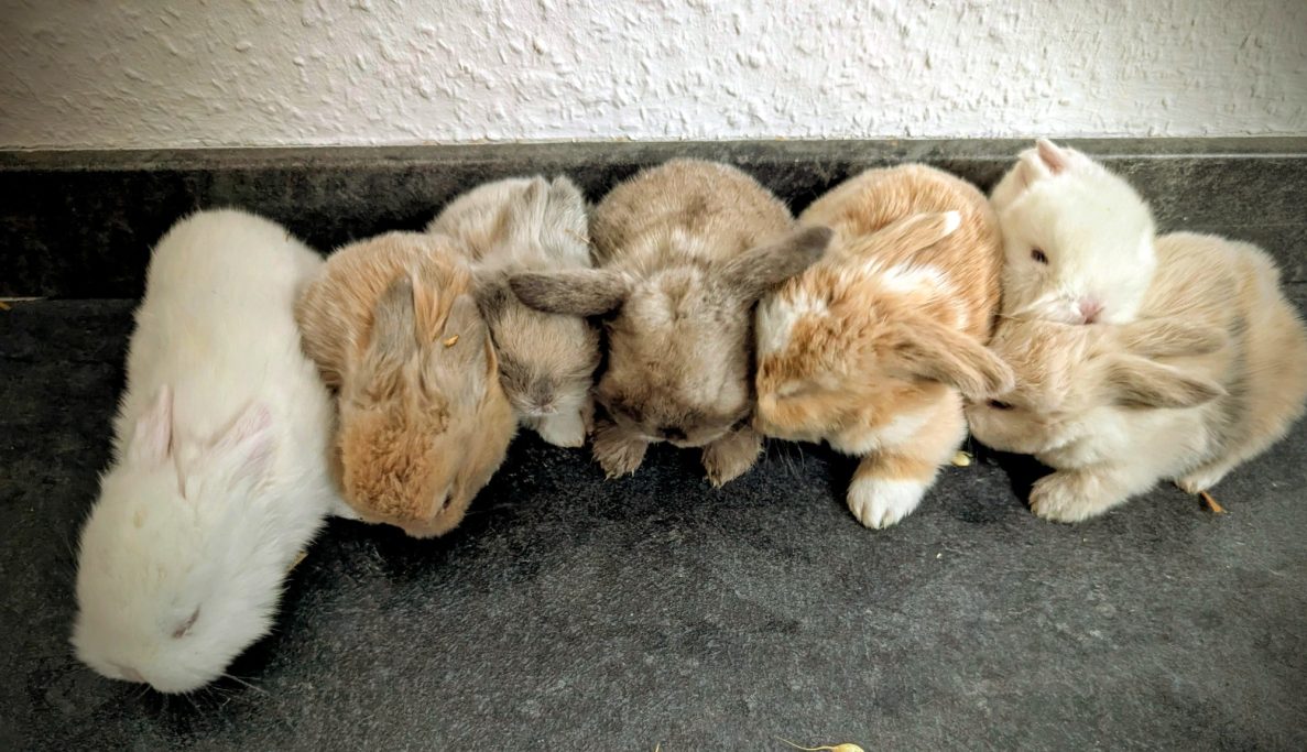 Mit 3 Wochen